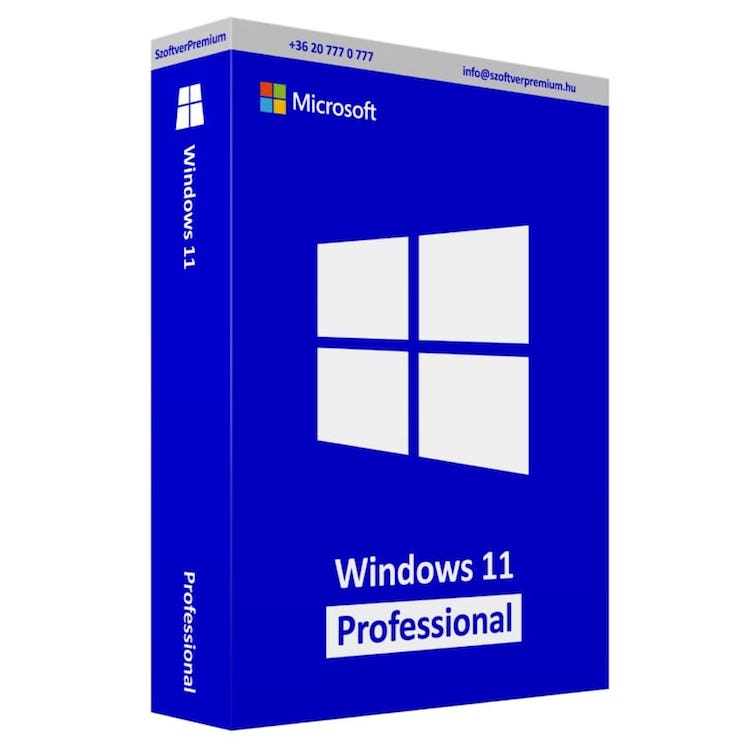 Windows 11-