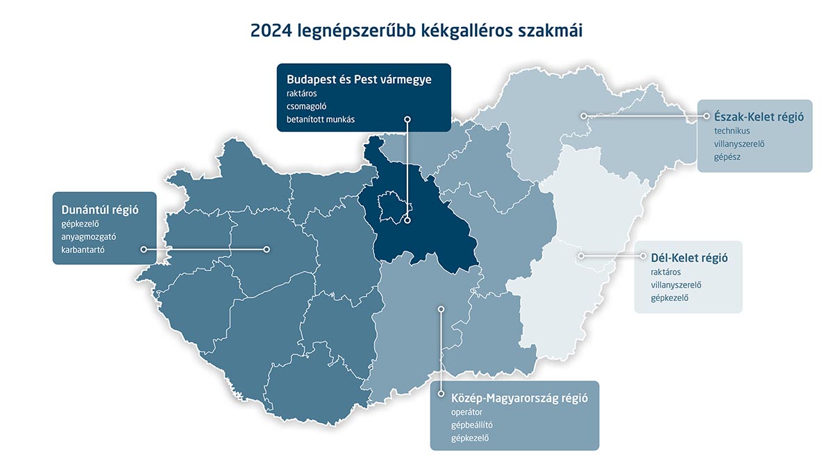 A legnépszerűbb kékgalléros szakmák Magyarországon 2024-ben - grafikon